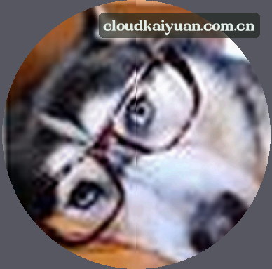 黄丽